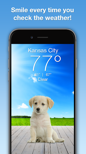 Weather Puppy - App & Widget Bildschirmfoto 5