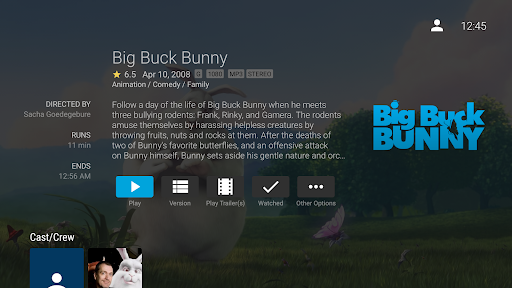 Jellyfin for Android TV Bildschirmfoto 7