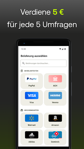 Five Surveys: Bezahlte Umfrage Bildschirmfoto 2