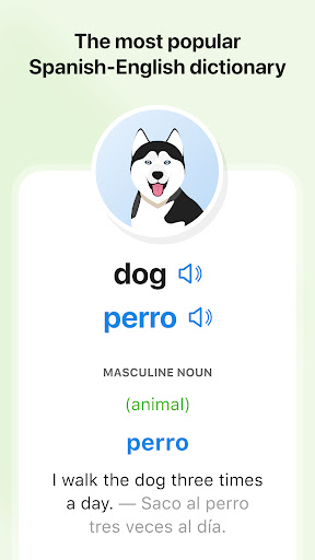SpanishDictionary.com Learning Bildschirmfoto 18