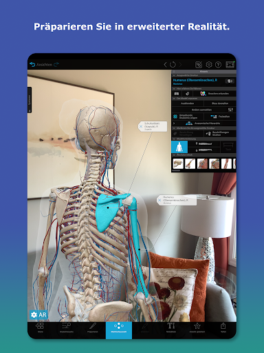 Atlas der Humananatomie 2026 Bildschirmfoto 12