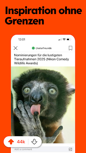 Reddit Bildschirmfoto 5