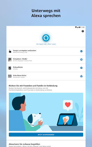 Amazon Alexa Bildschirmfoto 13