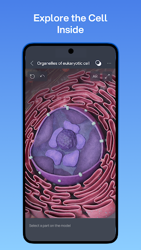 VOKA 3D Anatomie Atlas Lernen Bildschirmfoto 4