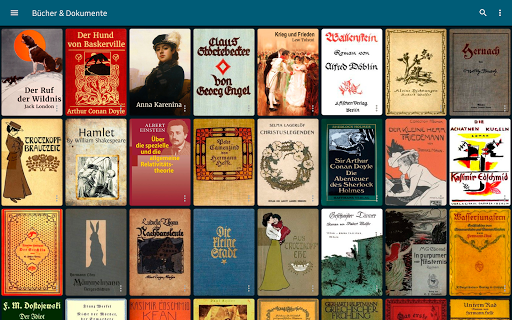 ReadEra Premium – ebook reader Bildschirmfoto 16