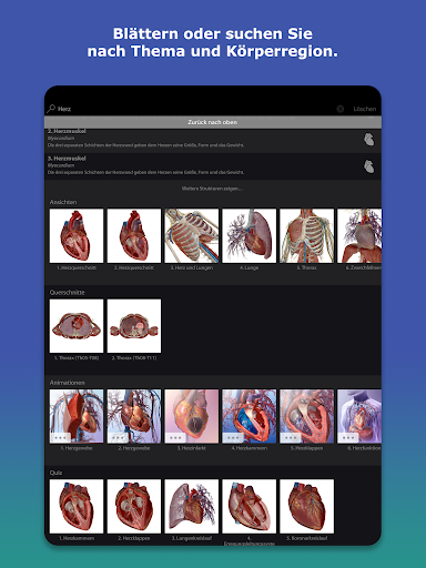 Atlas der Humananatomie 2026 Bildschirmfoto 10