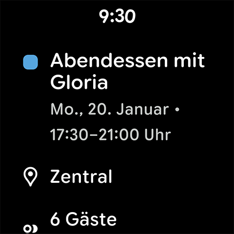 Google Kalender Bildschirmfoto 8