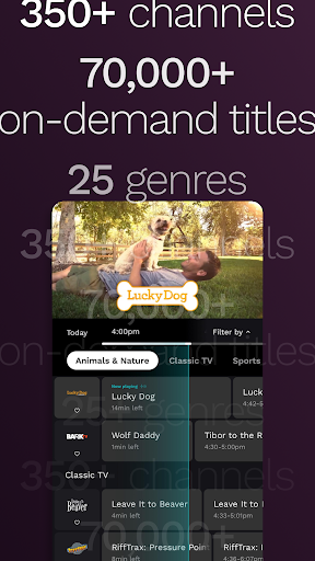 Xumo Play: Stream TV & Movies Bildschirmfoto 14