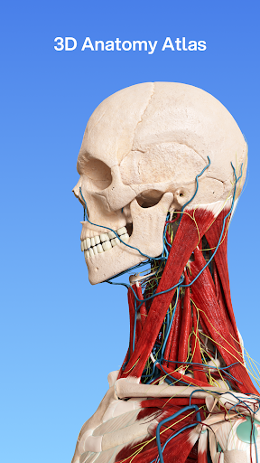VOKA 3D Anatomie Atlas Lernen Bildschirmfoto 1