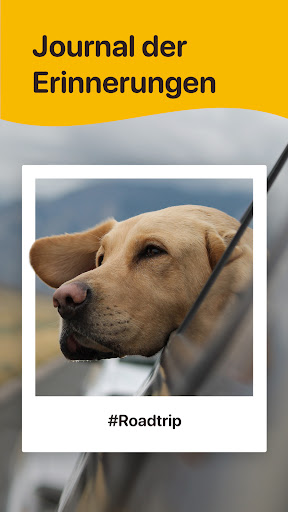 Woofz - Smartes Hundetraining Bildschirmfoto 5