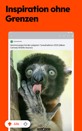 Reddit Bildschirmfoto 12
