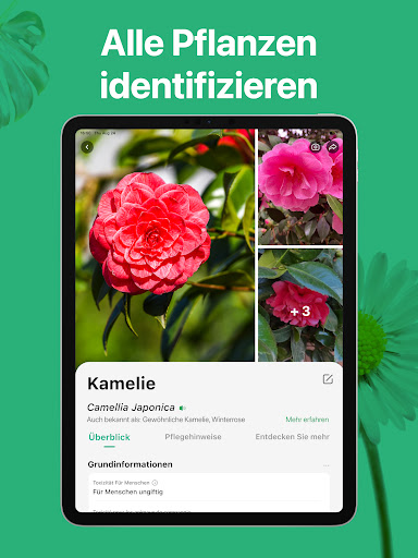 PictureThis:Pflanzen bestimmen Bildschirmfoto 16