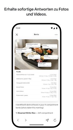 Meta AI – Assistent und Brille Bildschirmfoto 6