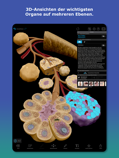 Atlas der Humananatomie 2026 Bildschirmfoto 7