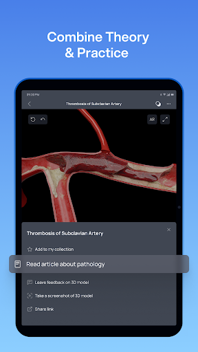 VOKA 3D Anatomie Atlas Lernen Bildschirmfoto 20