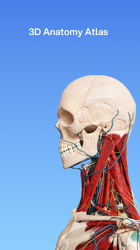 VOKA 3D Anatomie Atlas Lernen Bildschirmfoto 21