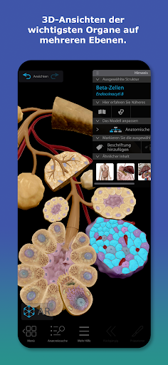 Atlas der Humananatomie 2026 Bildschirmfoto 3