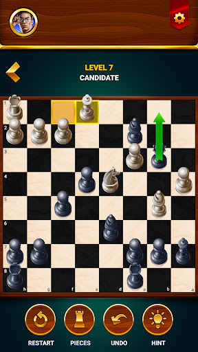 Schach - Offline Brettspiel Bildschirmfoto 5