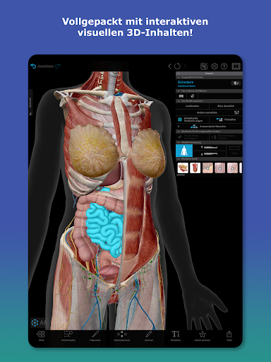 Atlas der Humananatomie 2026 Bildschirmfoto 9