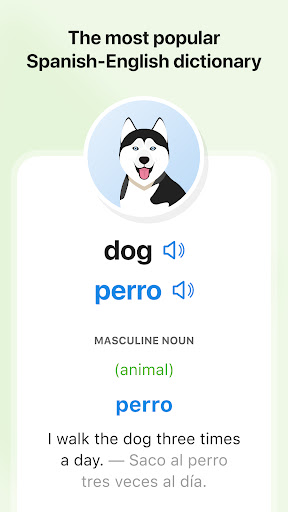 SpanishDictionary.com Learning Bildschirmfoto 13