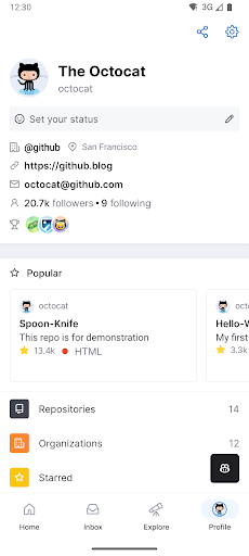 GitHub Bildschirmfoto 8