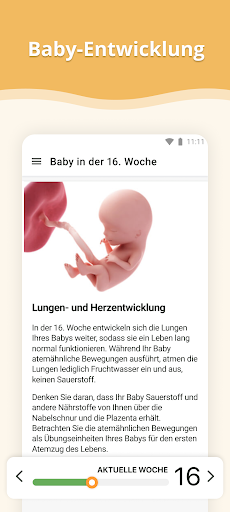 Schwangerschafts-App Bildschirmfoto 4
