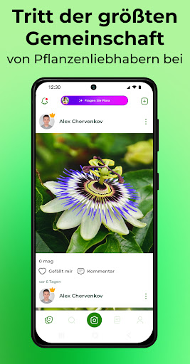PlantSnap Bildschirmfoto 4