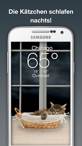 Weather Kitty Bildschirmfoto 5