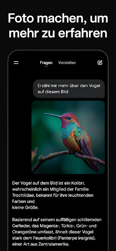 Grok - KI Assistent Bildschirmfoto 4