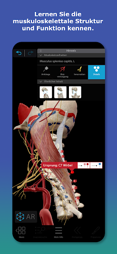 Atlas der Humananatomie 2026 Bildschirmfoto 5