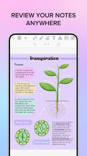 Penly: Digital Planner & Notes Bildschirmfoto 15