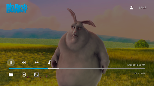 Jellyfin for Android TV Bildschirmfoto 2