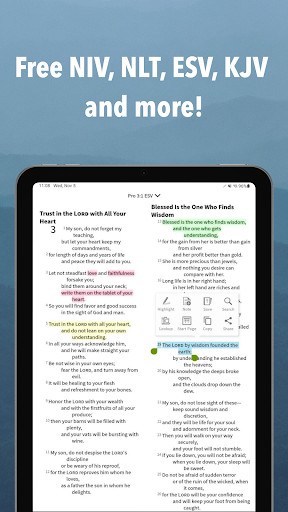 Bible App by Olive Tree Bildschirmfoto 14