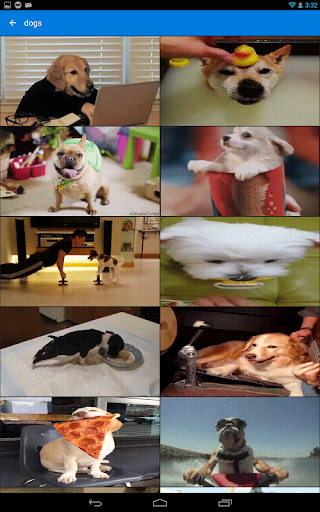 GIF Keyboard by Tenor Bildschirmfoto 4