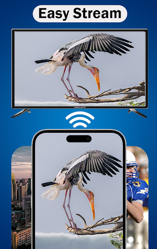 MirrorLink App for Car Bildschirmfoto 4
