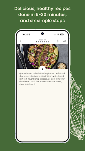 Green Chef: Healthy Meal Kits Bildschirmfoto 11