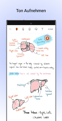 Noteshelf — Notizen machen Bildschirmfoto 3