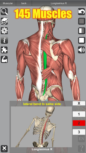 3D Anatomy Bildschirmfoto 9