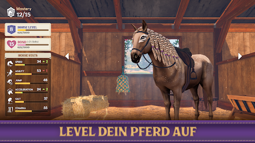 Star Equestrian – Pferderanch Bildschirmfoto 3