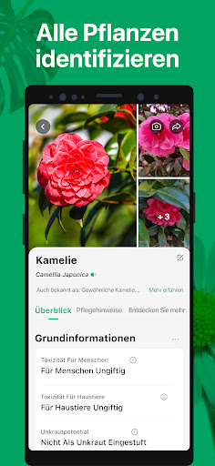 PictureThis:Pflanzen bestimmen Bildschirmfoto 1