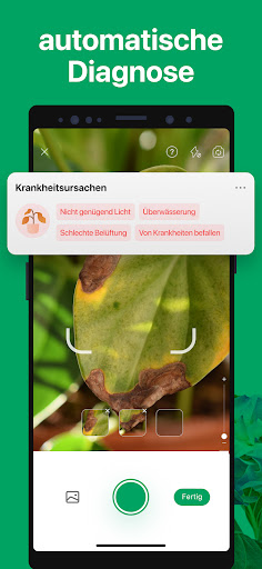 PictureThis:Pflanzen bestimmen Bildschirmfoto 4