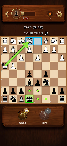 Schach Bildschirmfoto 5