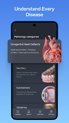 VOKA 3D Anatomie Atlas Lernen Bildschirmfoto 6