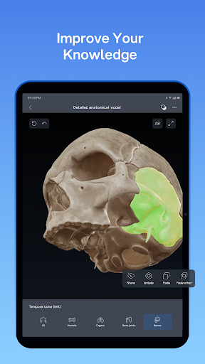 VOKA 3D Anatomie Atlas Lernen Bildschirmfoto 17