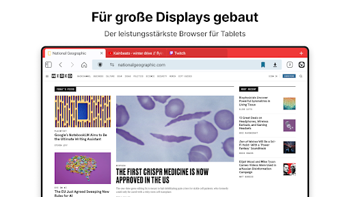 Vivaldi Browser–Schnell&Sicher Bildschirmfoto 1