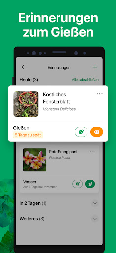 PictureThis:Pflanzen bestimmen Bildschirmfoto 20