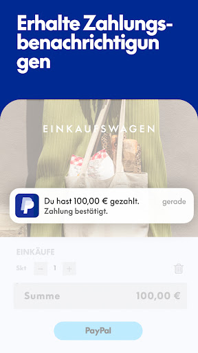 PayPal Bildschirmfoto 2
