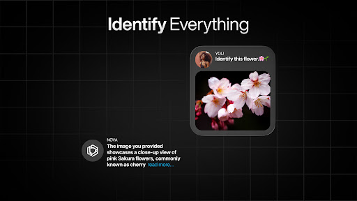 AI Chatbot - Nova Bildschirmfoto 10