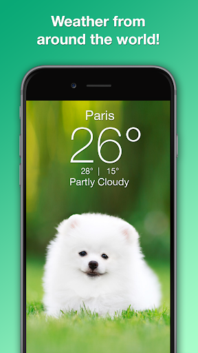 Weather Puppy - App & Widget Bildschirmfoto 4