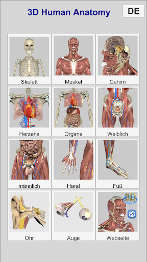 3D Anatomy Bildschirmfoto 2